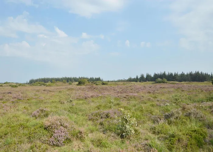 4 Bedroom In * Toftlund